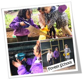 forest sschool