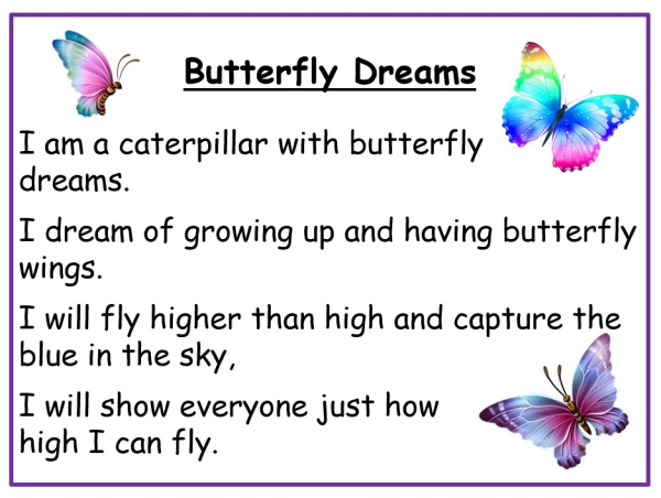 Butterfly Dreams 2026