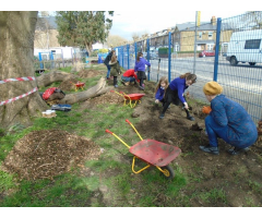 Hedge Planting2.pdf