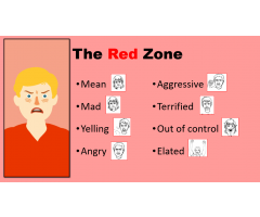 Red Zone