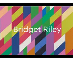 Bridget Riley