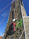 Climbing Wall 3